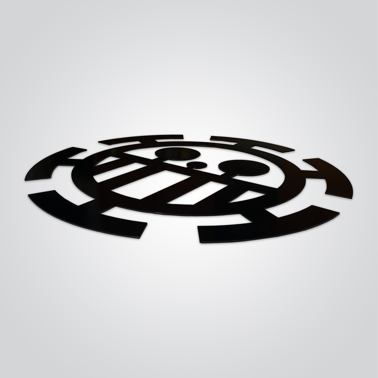Jolly Roger Law en acier - One Piece - SteelRate