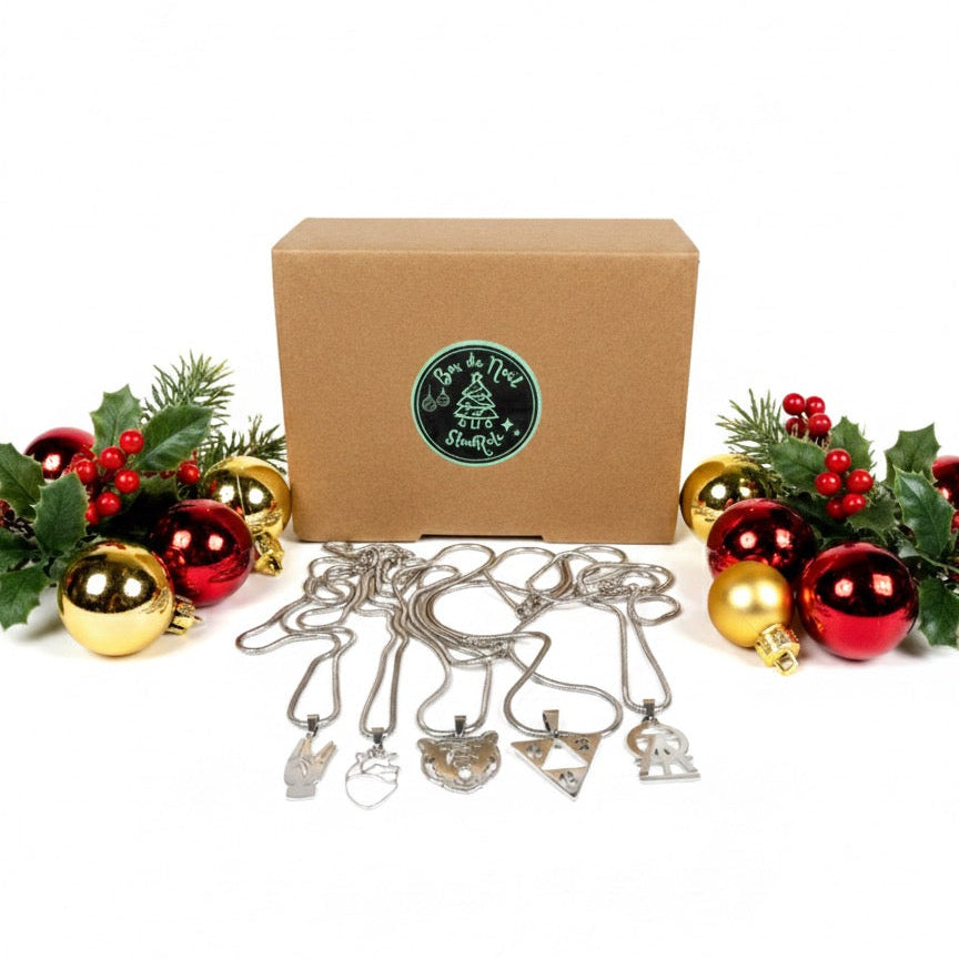 Box de Noël - Collier, porte clé et pack de stickers - SteelRate